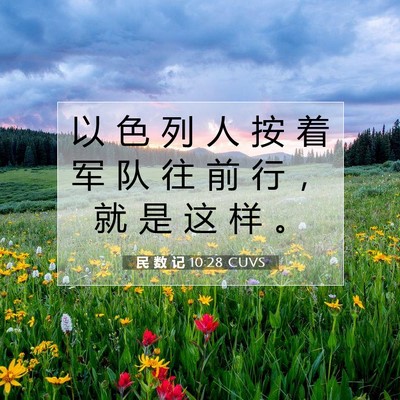 Picture 07 - 民 数 记 10:28 CUVS - 以 色 列 人 按 着 军 队 往 前 行 ， - Bible Verse Picture