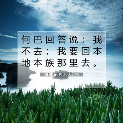 Picture 07 - 民 数 记 10:30 CUVS - 何 巴 回 答 说 ： 我 不 去 ； 我 要 - Bible Verse Picture