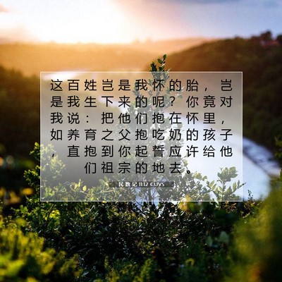 Picture 07 - 民 数 记 11:12 CUVS - 这 百 姓 岂 是 我 怀 的 胎 ， 岂 是 - Bible Verse Picture