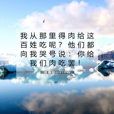 Picture 07 - 民 数 记 11:13 CUVS - 我 从 那 里 得 肉 给 这 百 姓 吃 呢 - Bible Verse Picture