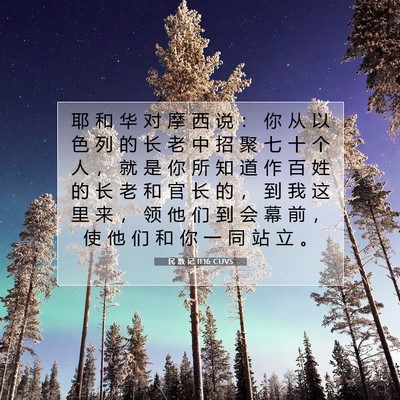 Picture 07 - 民 数 记 11:16 CUVS - 耶 和 华 对 摩 西 说 ： 你 从 以 色 - Bible Verse Picture