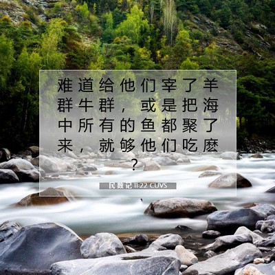 Picture 07 - 民 数 记 11:22 CUVS - 难 道 给 他 们 宰 了 羊 群 牛 群 ， - Bible Verse Picture