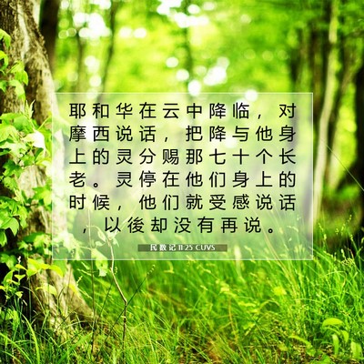 Picture 07 - 民 数 记 11:25 CUVS - 耶 和 华 在 云 中 降 临 ， 对 摩 西 - Bible Verse Picture