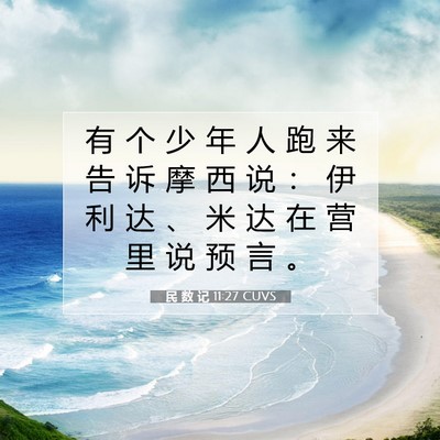Picture 07 - 民 数 记 11:27 CUVS - 有 个 少 年 人 跑 来 告 诉 摩 西 说 - Bible Verse Picture