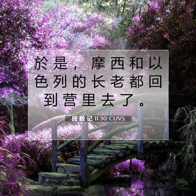 Picture 07 - 民 数 记 11:30 CUVS - 於 是 ， 摩 西 和 以 色 列 的 长 老 - Bible Verse Picture