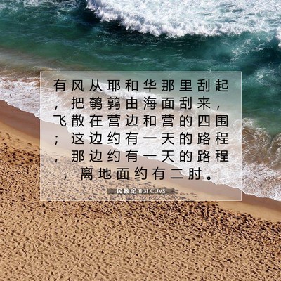 Picture 07 - 民 数 记 11:31 CUVS - 有 风 从 耶 和 华 那 里 刮 起 ， 把 - Bible Verse Picture