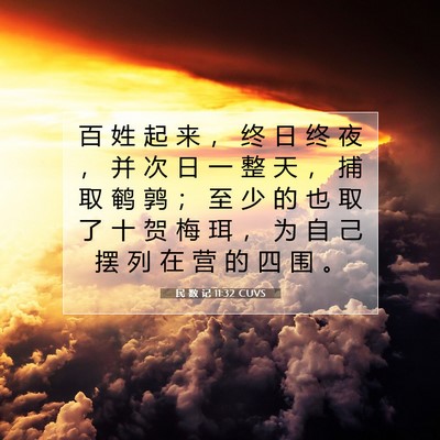 Picture 07 - 民 数 记 11:32 CUVS - 百 姓 起 来 ， 终 日 终 夜 ， 并 次 - Bible Verse Picture