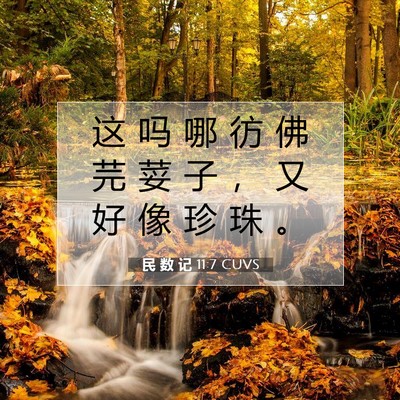 Picture 07 - 民 数 记 11:7 CUVS - 这 吗 哪 彷 佛 芫 荽 子 ， 又 好 像 - Bible Verse Picture
