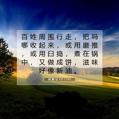 Picture 07 - 民 数 记 11:8 CUVS - 百 姓 周 围 行 走 ， 把 吗 哪 收 起 - Bible Verse Picture