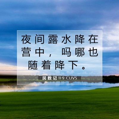 Picture 07 - 民 数 记 11:9 CUVS - 夜 间 露 水 降 在 营 中 ， 吗 哪 也 - Bible Verse Picture