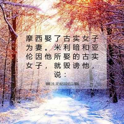 Picture 07 - 民 数 记 12:1 CUVS - 摩 西 娶 了 古 实 女 子 为 妻 。 米 - Bible Verse Picture