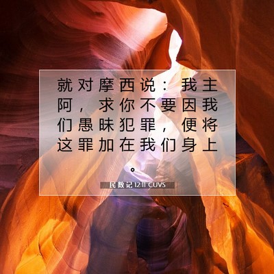 Picture 07 - 民 数 记 12:11 CUVS - 就 对 摩 西 说 ： 我 主 阿 ， 求 你 - Bible Verse Picture