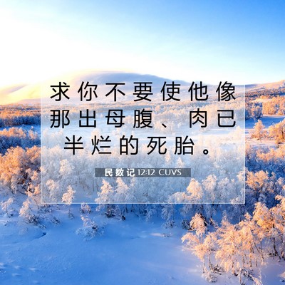 Picture 07 - 民 数 记 12:12 CUVS - 求 你 不 要 使 他 像 那 出 母 腹 、 - Bible Verse Picture