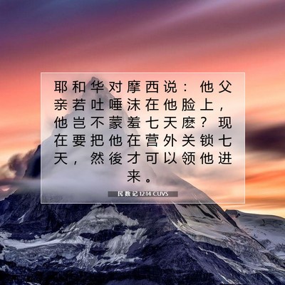Picture 07 - 民 数 记 12:14 CUVS - 耶 和 华 对 摩 西 说 ： 他 父 亲 若 - Bible Verse Picture