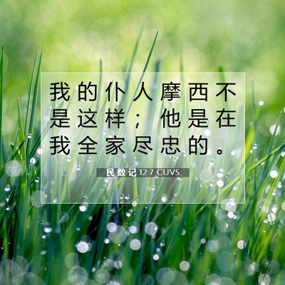 Picture 07 - 民 数 记 12:7 CUVS - 我 的 仆 人 摩 西 不 是 这 样 ； 他 - Bible Verse Picture
