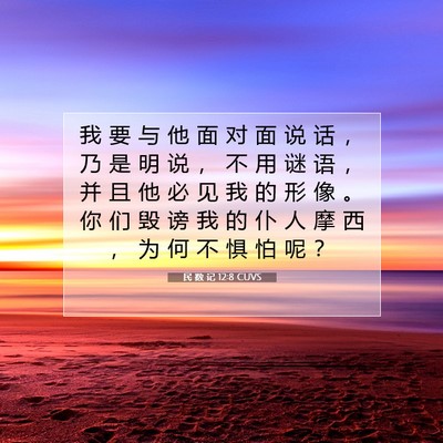 Picture 07 - 民 数 记 12:8 CUVS - 我 要 与 他 面 对 面 说 话 ， 乃 是 - Bible Verse Picture