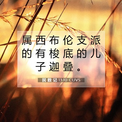 Picture 07 - 民 数 记 13:10 CUVS - 属 西 布 伦 支 派 的 有 梭 底 的 儿 - Bible Verse Picture