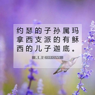 Picture 07 - 民 数 记 13:11 CUVS - 约 瑟 的 子 孙 属 玛 拿 西 支 派 的 - Bible Verse Picture