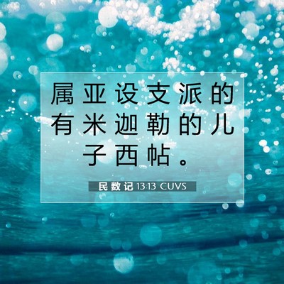 Picture 07 - 民 数 记 13:13 CUVS - 属 亚 设 支 派 的 有 米 迦 勒 的 儿 - Bible Verse Picture