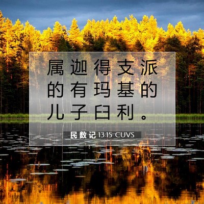 Picture 07 - 民 数 记 13:15 CUVS - 属 迦 得 支 派 的 有 玛 基 的 儿 子 - Bible Verse Picture
