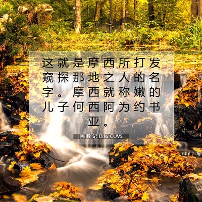 Picture 07 - 民 数 记 13:16 CUVS - 这 就 是 摩 西 所 打 发 窥 探 那 地 - Bible Verse Picture