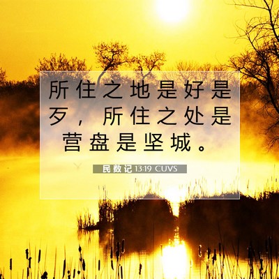 Picture 07 - 民 数 记 13:19 CUVS - 所 住 之 地 是 好 是 歹 ， 所 住 之 - Bible Verse Picture