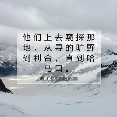 Picture 07 - 民 数 记 13:21 CUVS - 他 们 上 去 窥 探 那 地 ， 从 寻 的 - Bible Verse Picture
