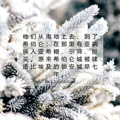 Picture 07 - 民 数 记 13:22 CUVS - 他 们 从 南 地 上 去 ， 到 了 希 伯 - Bible Verse Picture