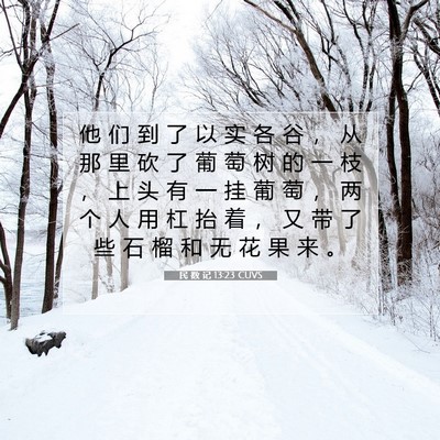 Picture 07 - 民 数 记 13:23 CUVS - 他 们 到 了 以 实 各 谷 ， 从 那 里 - Bible Verse Picture