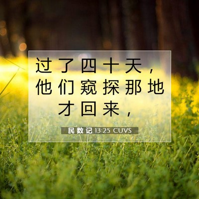 Picture 07 - 民 数 记 13:25 CUVS - 过 了 四 十 天 ， 他 们 窥 探 那 地 - Bible Verse Picture