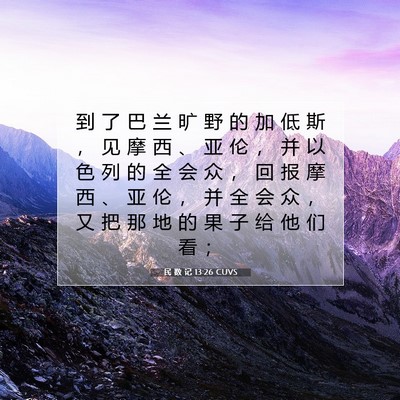 Picture 07 - 民 数 记 13:26 CUVS - 到 了 巴 兰 旷 野 的 加 低 斯 ， 见 - Bible Verse Picture