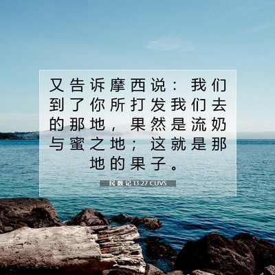 Picture 07 - 民 数 记 13:27 CUVS - 又 告 诉 摩 西 说 ： 我 们 到 了 你 - Bible Verse Picture