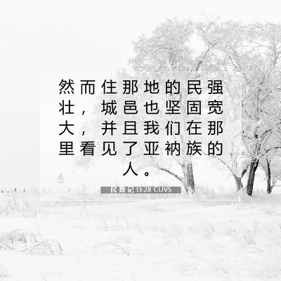 Picture 07 - 民 数 记 13:28 CUVS - 然 而 住 那 地 的 民 强 壮 ， 城 邑 - Bible Verse Picture