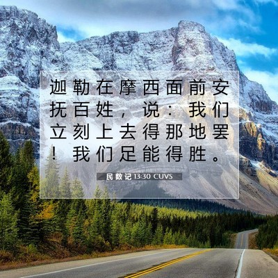 Picture 07 - 民 数 记 13:30 CUVS - 迦 勒 在 摩 西 面 前 安 抚 百 姓 ， - Bible Verse Picture