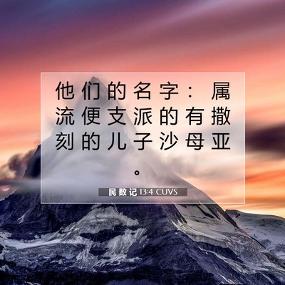 Picture 07 - 民 数 记 13:4 CUVS - 他 们 的 名 字 ： 属 流 便 支 派 的 - Bible Verse Picture