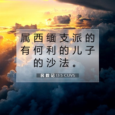 Picture 07 - 民 数 记 13:5 CUVS - 属 西 缅 支 派 的 有 何 利 的 儿 子 - Bible Verse Picture