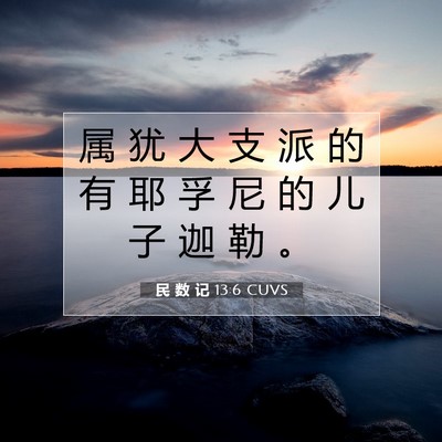 Picture 07 - 民 数 记 13:6 CUVS - 属 犹 大 支 派 的 有 耶 孚 尼 的 儿 - Bible Verse Picture