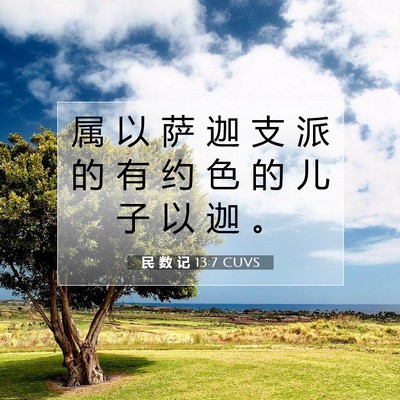 Picture 07 - 民 数 记 13:7 CUVS - 属 以 萨 迦 支 派 的 有 约 色 的 儿 - Bible Verse Picture