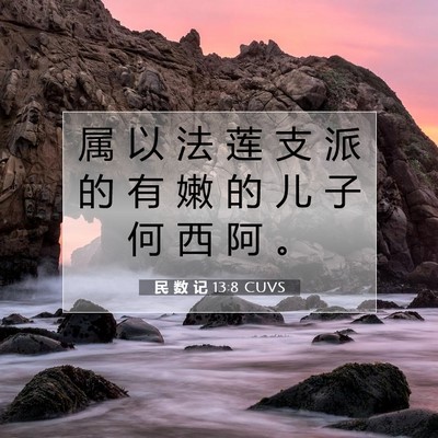 Picture 07 - 民 数 记 13:8 CUVS - 属 以 法 莲 支 派 的 有 嫩 的 儿 子 - Bible Verse Picture