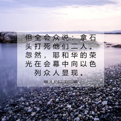 Picture 07 - 民 数 记 14:10 CUVS - 但 全 会 众 说 ： 拿 石 头 打 死 他 - Bible Verse Picture