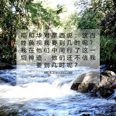 Picture 07 - 民 数 记 14:11 CUVS - 耶 和 华 对 摩 西 说 ： 这 百 姓 藐 - Bible Verse Picture