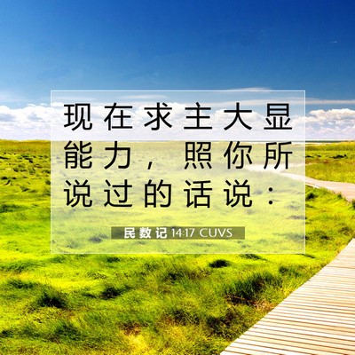 Picture 07 - 民 数 记 14:17 CUVS - 现 在 求 主 大 显 能 力 ， 照 你 所 - Bible Verse Picture