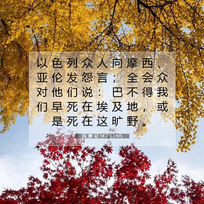 Picture 07 - 民 数 记 14:2 CUVS - 以 色 列 众 人 向 摩 西 、 亚 伦 发 - Bible Verse Picture