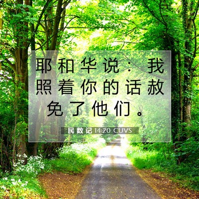 Picture 07 - 民 数 记 14:20 CUVS - 耶 和 华 说 ： 我 照 着 你 的 话 赦 - Bible Verse Picture
