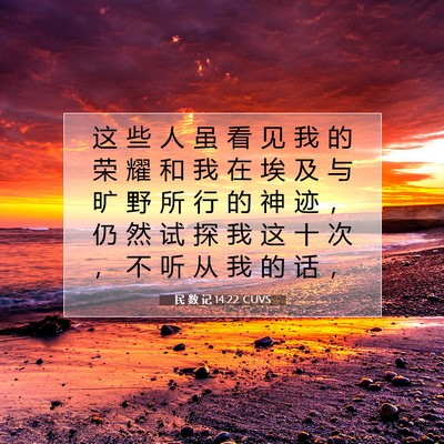 Picture 07 - 民 数 记 14:22 CUVS - 这 些 人 虽 看 见 我 的 荣 耀 和 我 - Bible Verse Picture