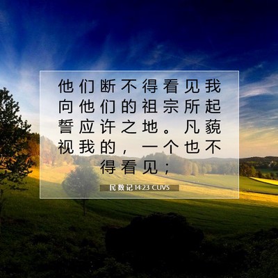 Picture 07 - 民 数 记 14:23 CUVS - 他 们 断 不 得 看 见 我 向 他 们 的 - Bible Verse Picture