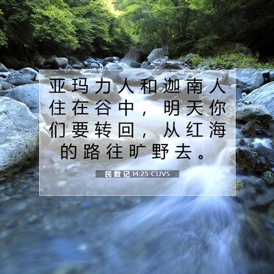 Picture 07 - 民 数 记 14:25 CUVS - 亚 玛 力 人 和 迦 南 人 住 在 谷 中 - Bible Verse Picture