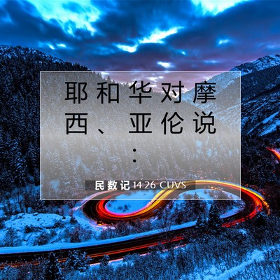 Picture 07 - 民 数 记 14:26 CUVS - 耶 和 华 对 摩 西 、 亚 伦 说 - Bible Verse Picture