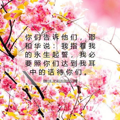Picture 07 - 民 数 记 14:28 CUVS - 你 们 告 诉 他 们 ， 耶 和 华 说 ： - Bible Verse Picture