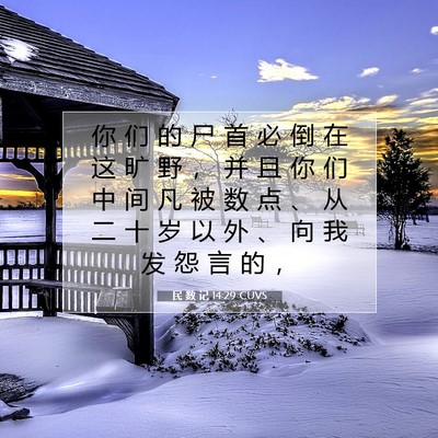 Picture 07 - 民 数 记 14:29 CUVS - 你 们 的 尸 首 必 倒 在 这 旷 野 ， - Bible Verse Picture